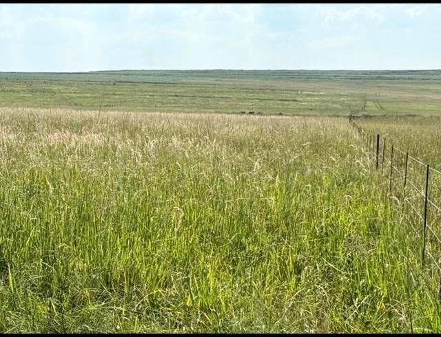 FARM FOR SALE IN NEWCASTLE RURAL